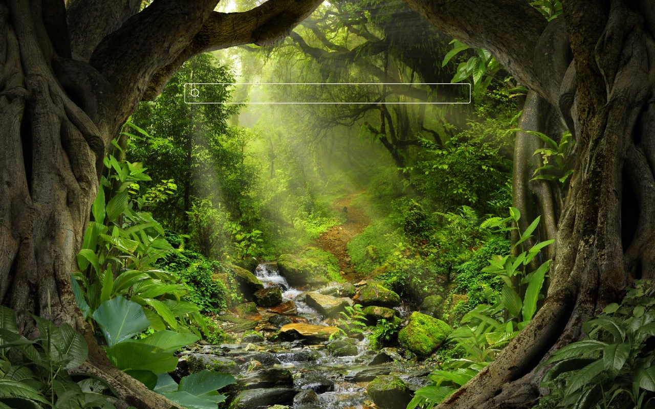 Forest - Rainforest HD Wallpaper Theme