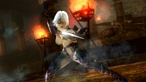 DOA5LR Fighter Force Christie