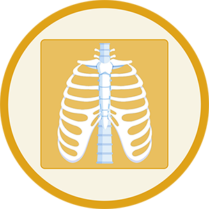 TestOpos Técnico radiodiagnostico