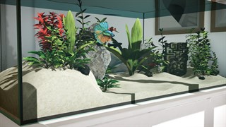 Aquarium in Cafe screenshot 4