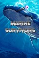 Marine Survivors (Windows)