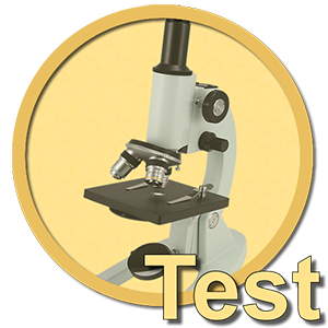 TestOpos Anatomía Patológica