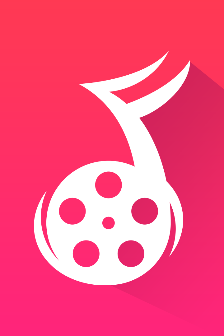 Video Trimmer With Audio Converter