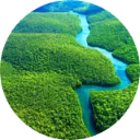 Amazon River Wallpaper New Tab icon