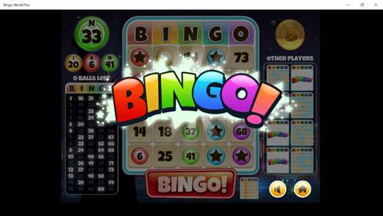 Bingo World Pro screenshot 5