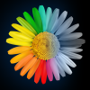 Color Touch Effects Photo Editor
