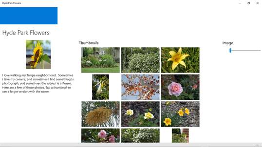 Hyde Park Flowers screenshot 1