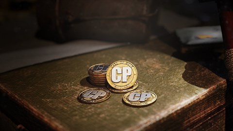 500點《決勝時刻®：現代戰域™》點數