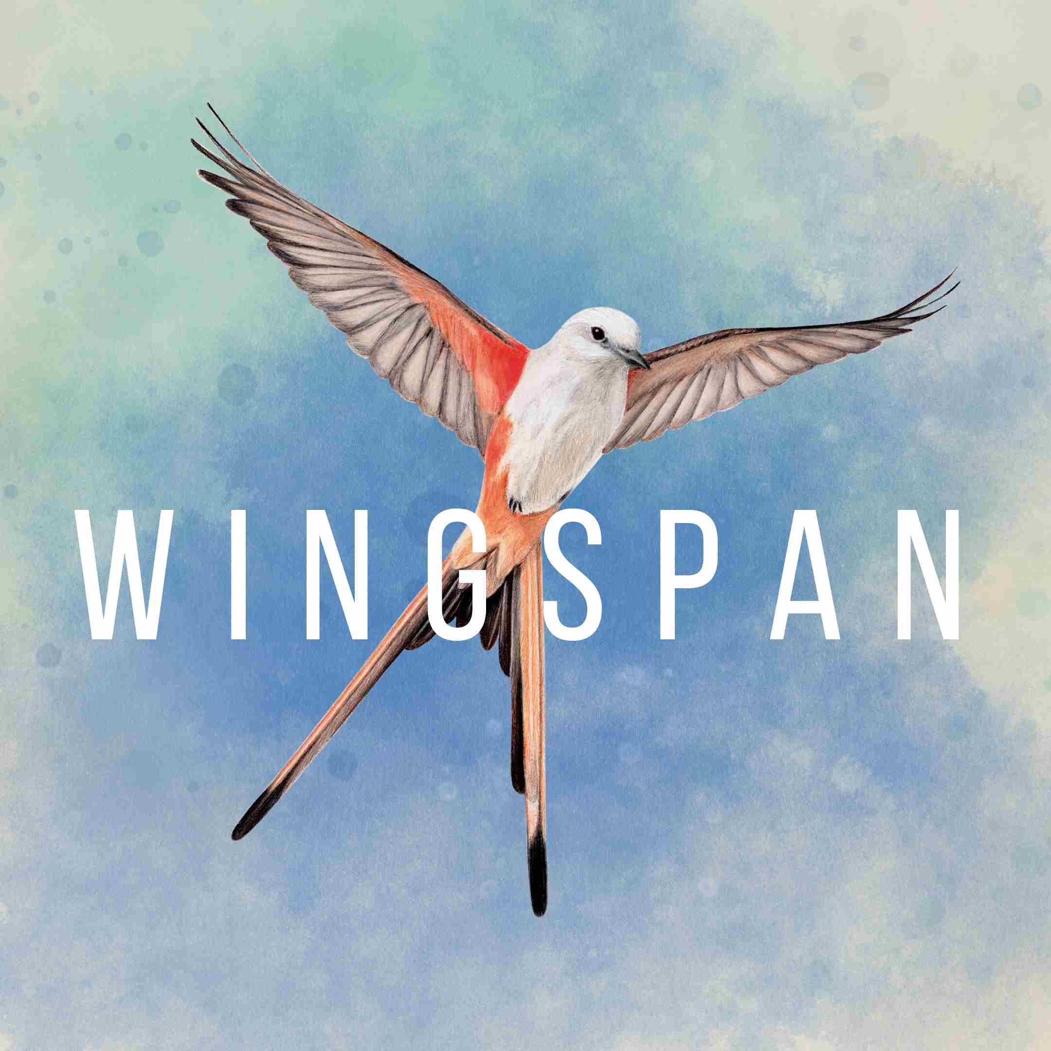 WINGSPAN