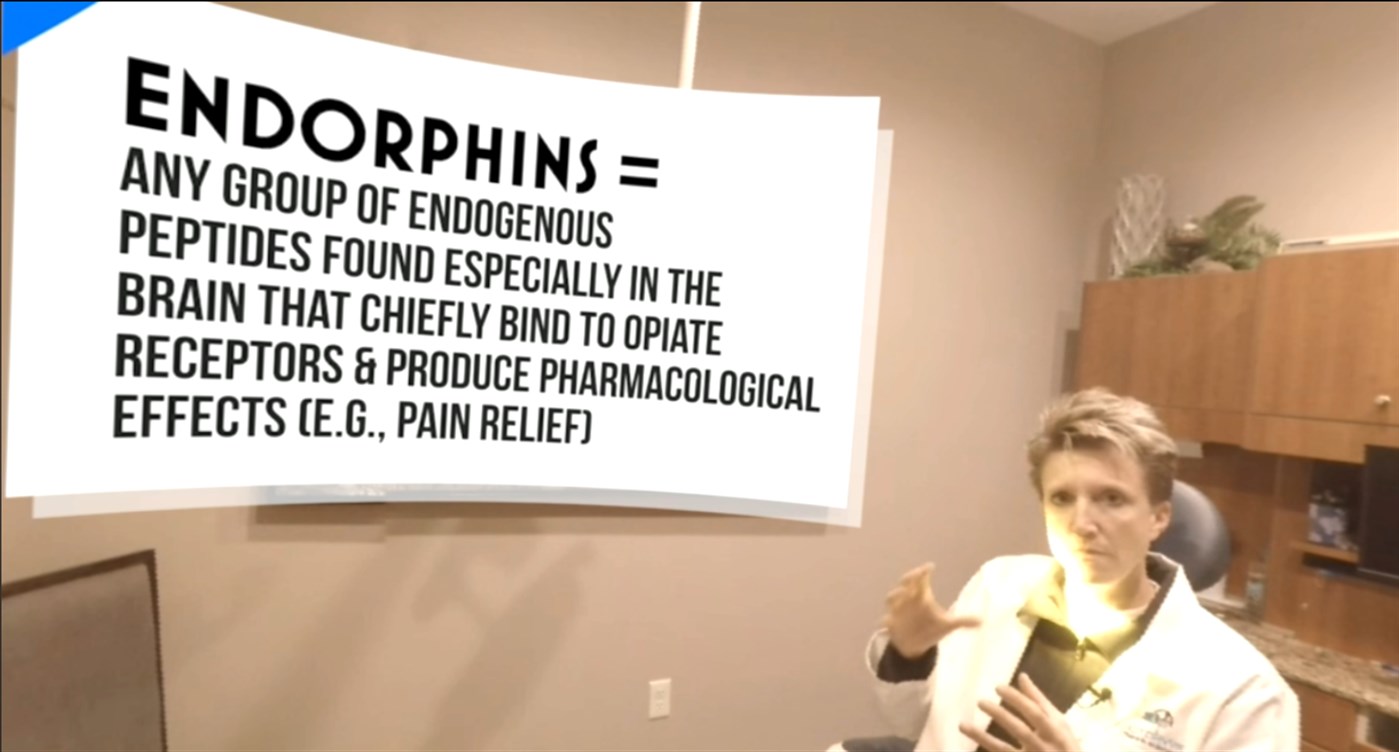 #5. Getting Cheesy in VR: Exploring Biochemistry (Windows) By: VictoryXR