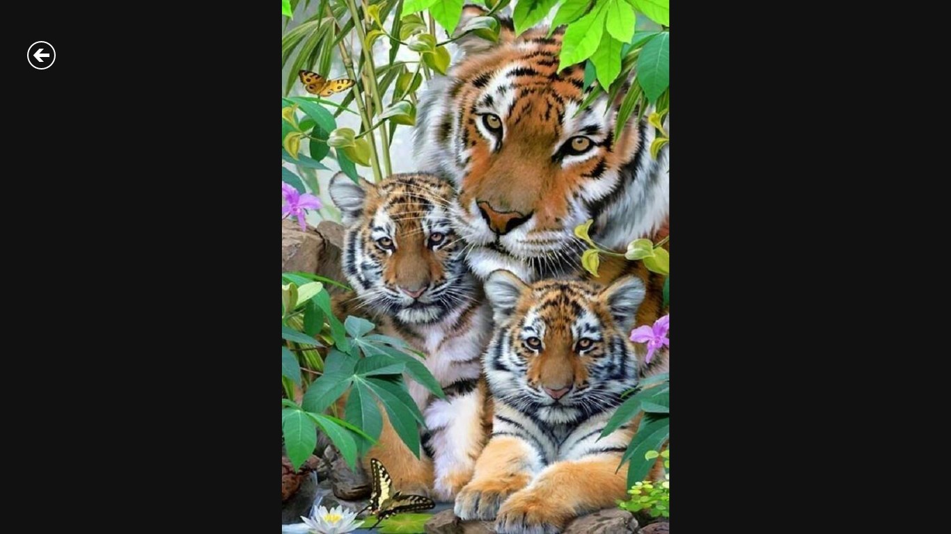 Пазл тигр с тигрятами