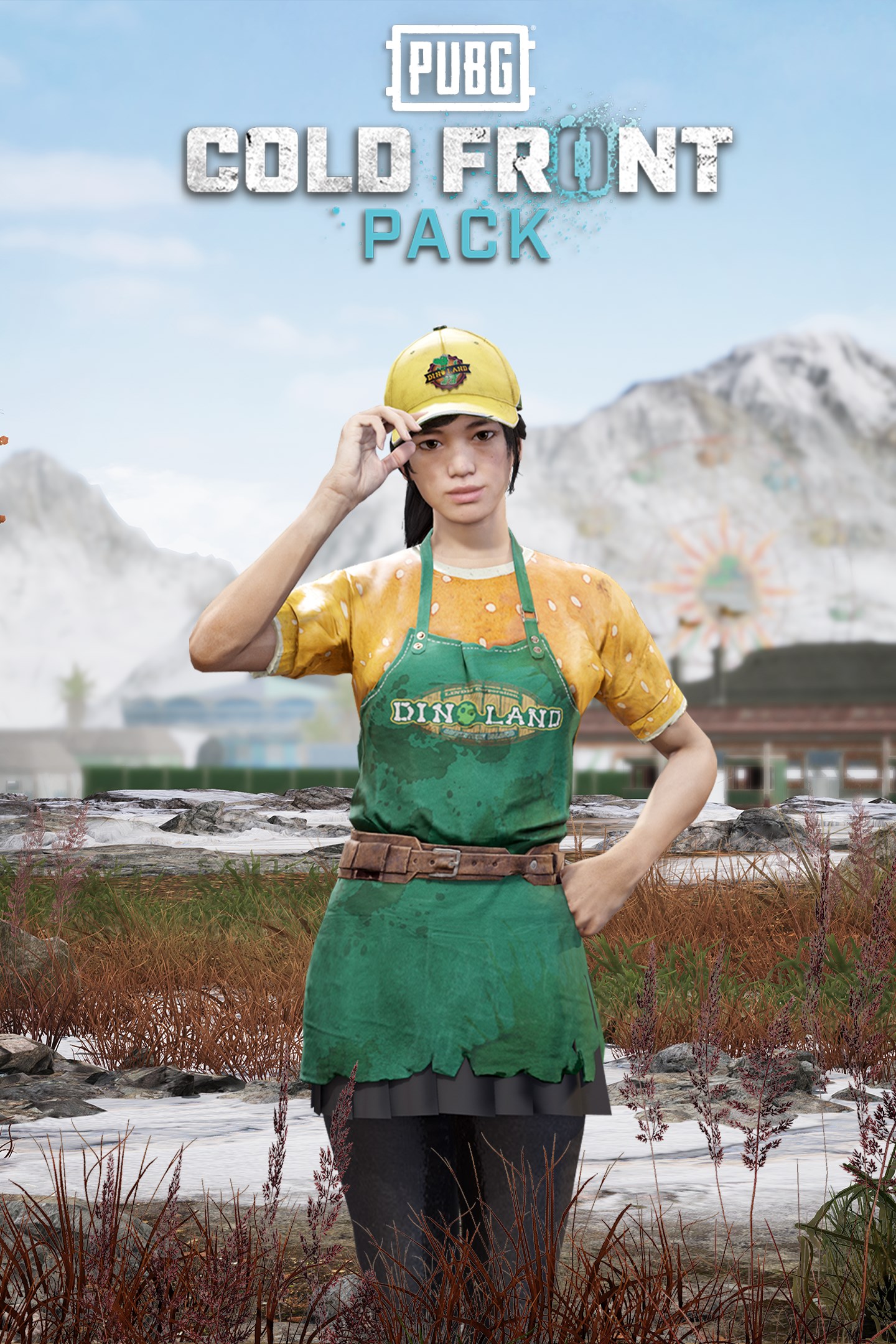 Купить ключ дешево Набор PUBG Холодный фронт