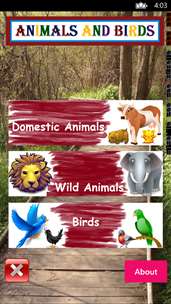 Animals and Birds screenshot 4