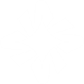 Domain Scout