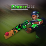 Cricket Batter