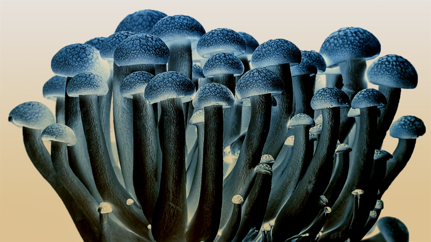 #4. Your Wpaps 3 (Windows) 由: peterolah