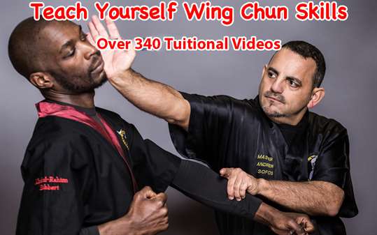 Wing Chun Skills screenshot 1
