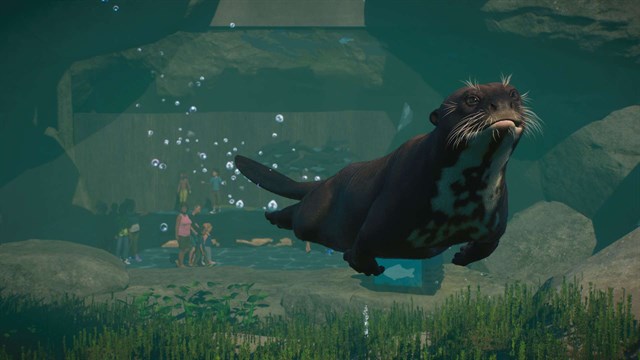 Planet Zoo: Aquatic & Twilight Bundle screenshot 2