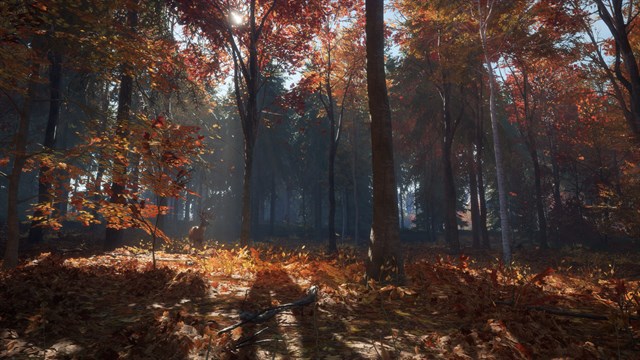 theHunter Call of the Wild - New England Mountains screenshot 2