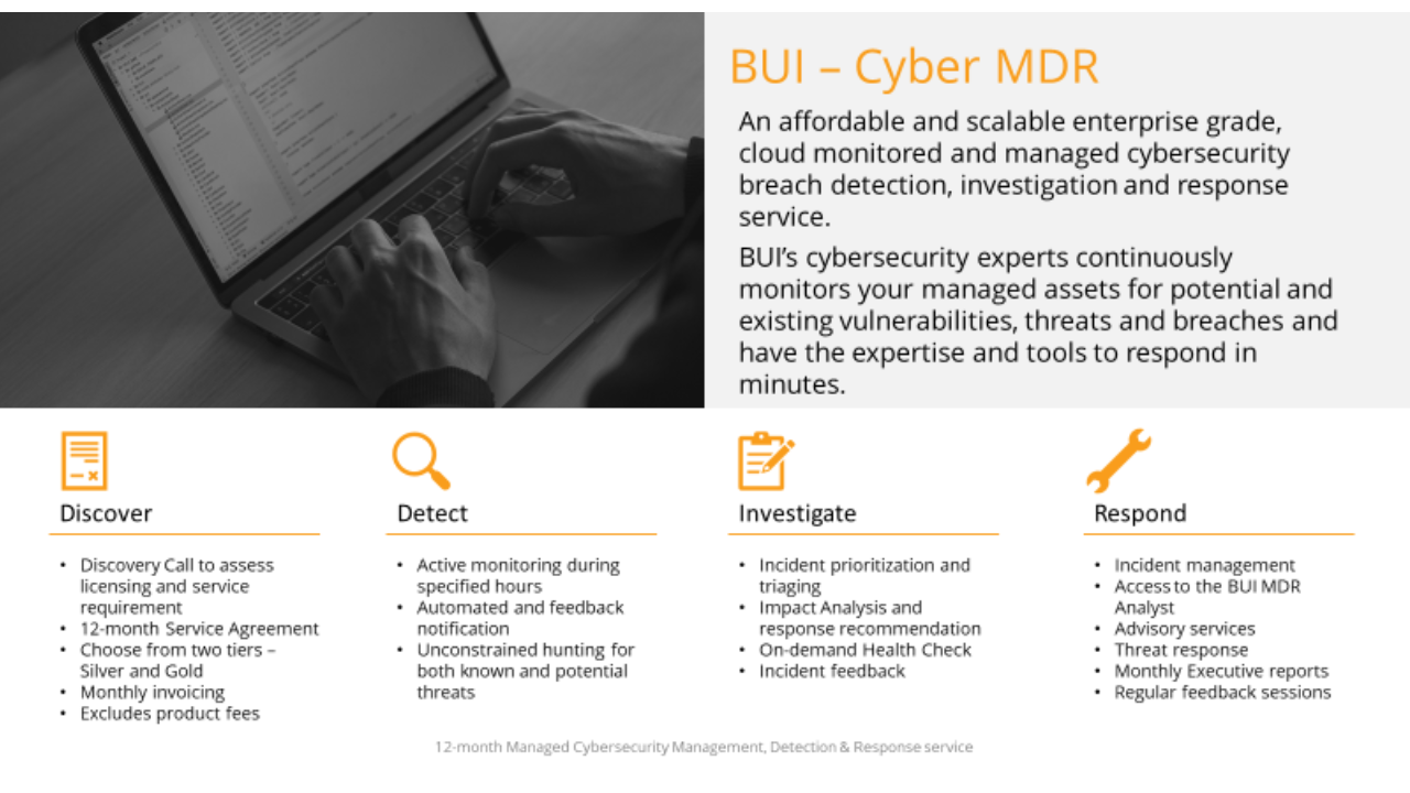 Snapshot 2 of BUI Cyber MDR - 1 Day Discovery Workshop