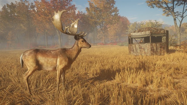 theHunter: Call of the Wild - Tents & Ground Blinds - Windows 10 screenshot 1