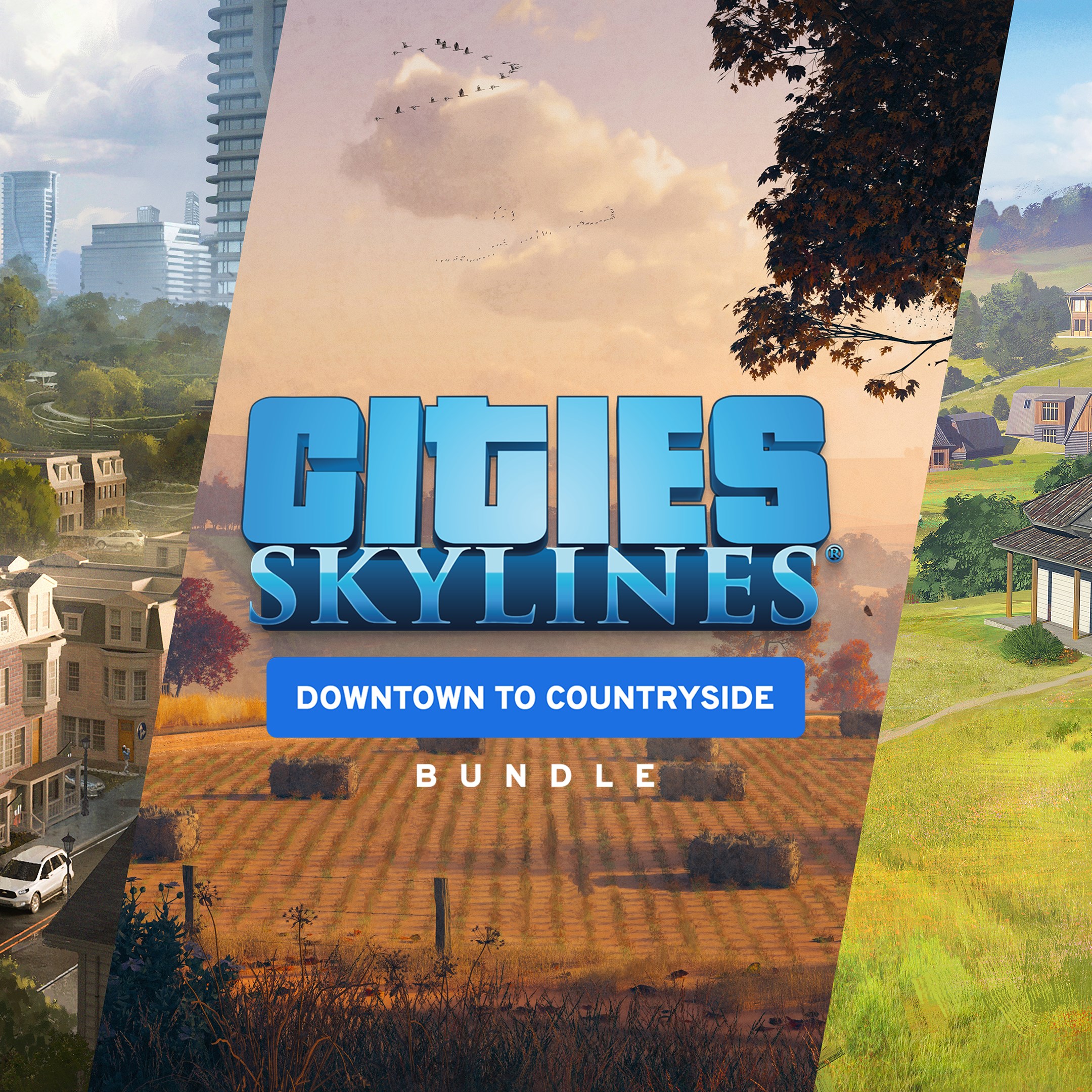 Cities: Skylines - Downtown to Countryside Bundle