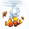 myFishtank - Virtual Aquarium