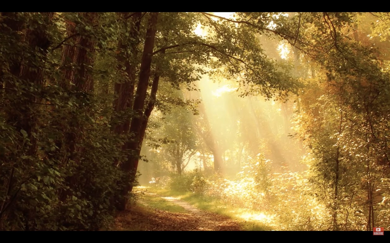 #1. All Video Player. (Windows) De: So APP