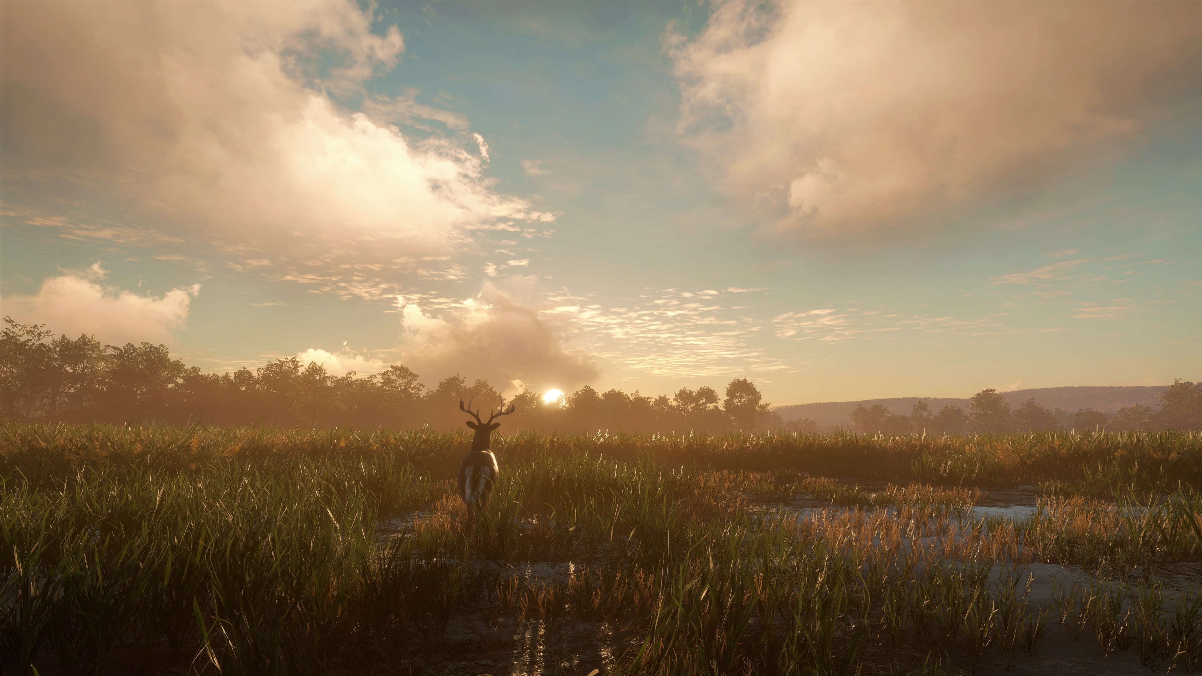 theHunter: Call of the Wild™ - Mississippi Acres Preserve - Windows 10 | Xbox | Chiave | Privato