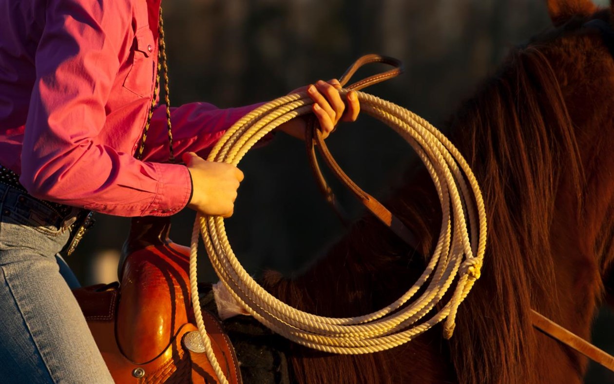 #2. Ranch Hands (Windows) 由: Microsoft Corporation