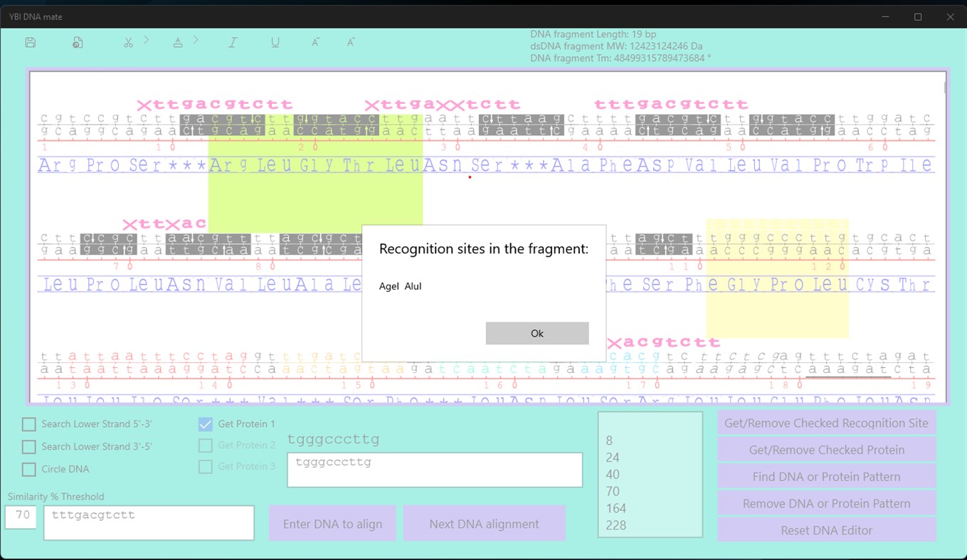 #4. YBI DNA mate (Windows) Ved: yegoris
