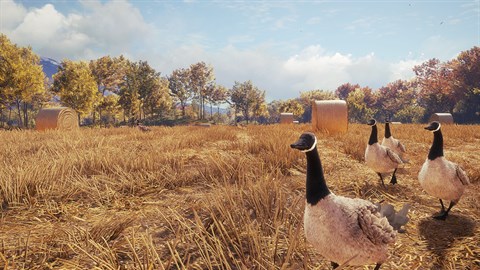 theHunter: Call of the Wild™ - Wild Goose Chase Gear - Windows 10