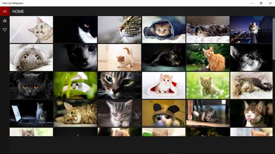 Free Cat Wallpapers screenshot 1