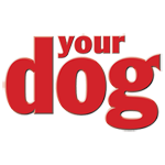 Your Dog