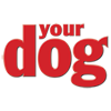 Your Dog