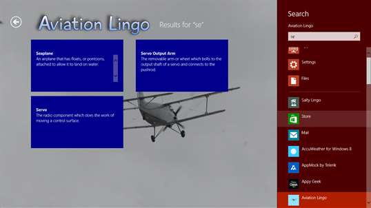 Aviation Lingo screenshot 4