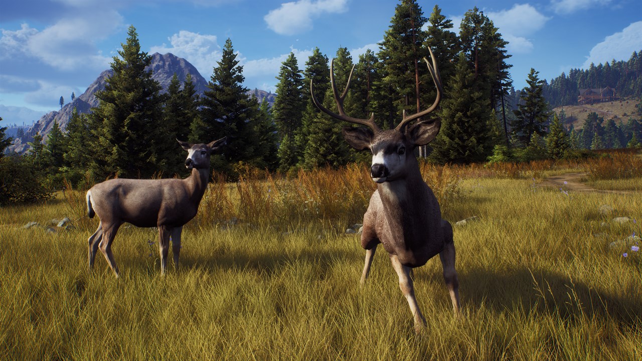 Way of the Hunter: Elite Edition screenshot 10