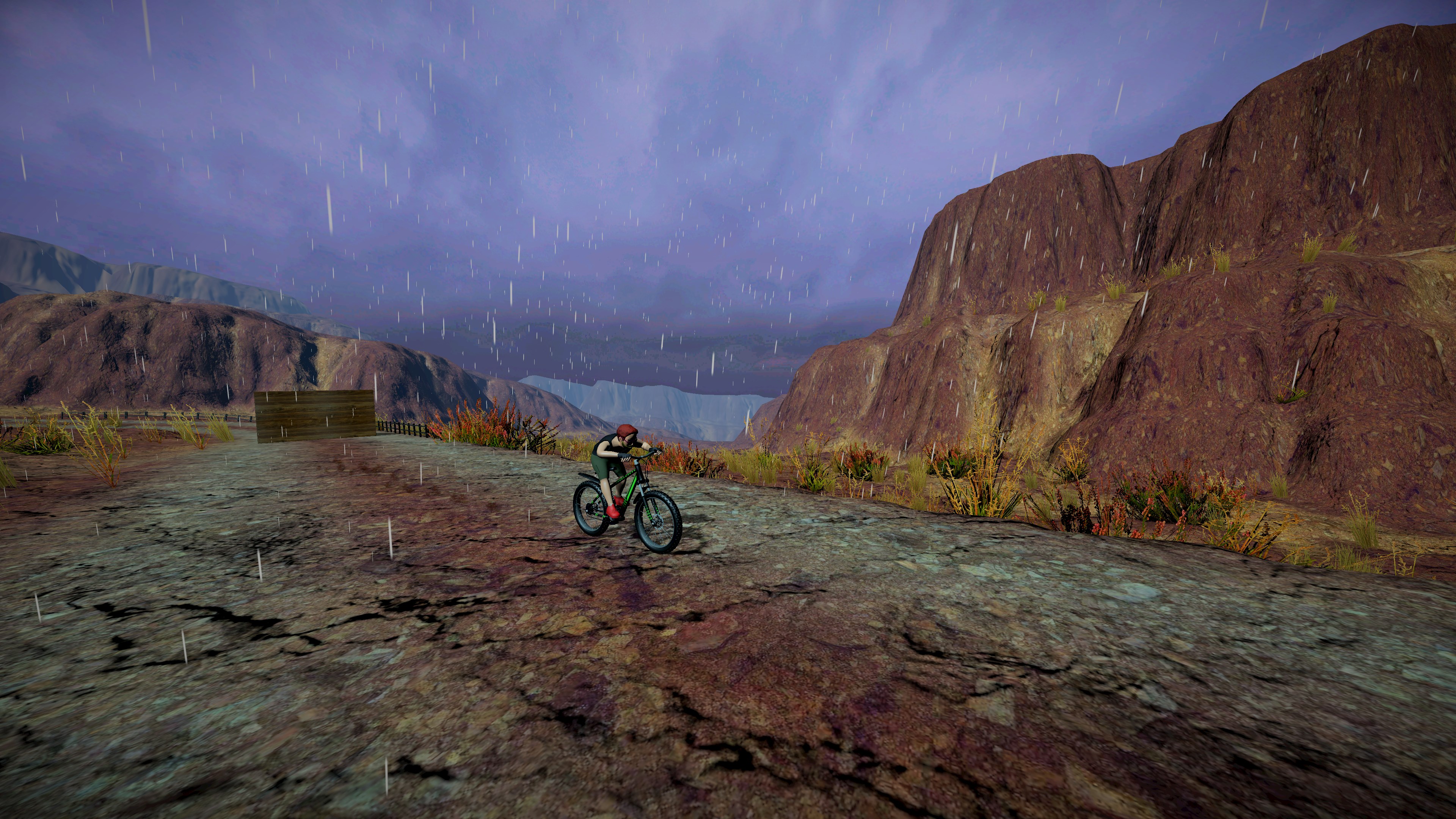 Bike Runner screenshot 8