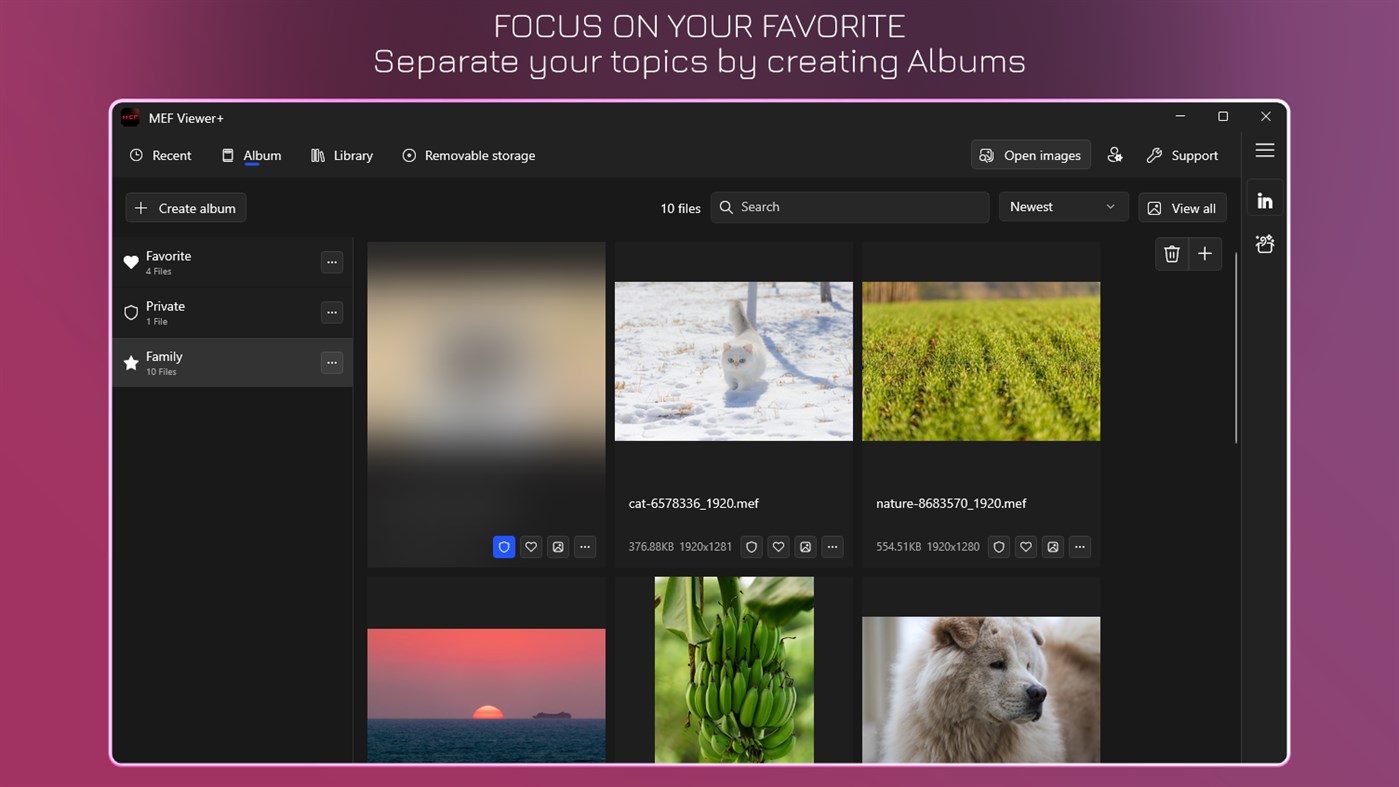 #3. MEF Viewer+ - MEF to JPG (Windows) 由: IO Vision