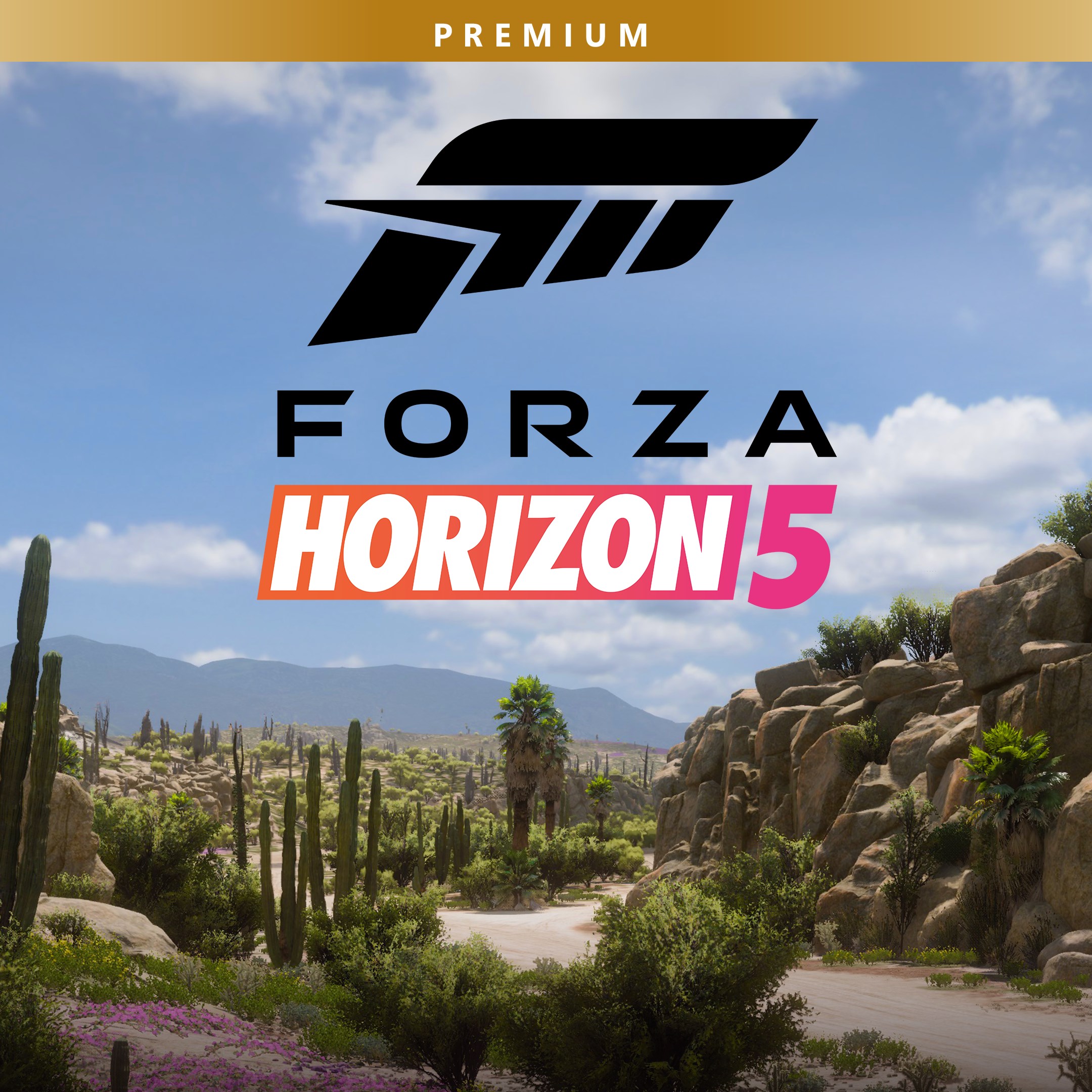 Forza Horizon 5: premium-издание
