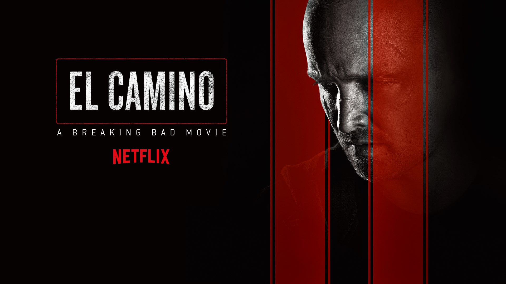 Man Of A Thousand Faces Hd Movies English Subs - Click Here To Watch From Android And Ios