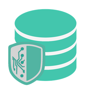 DSE Backup Expert Pro 2021