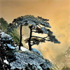 Beautiful Pictures Collection