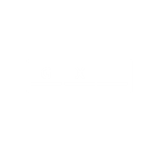 GX Password