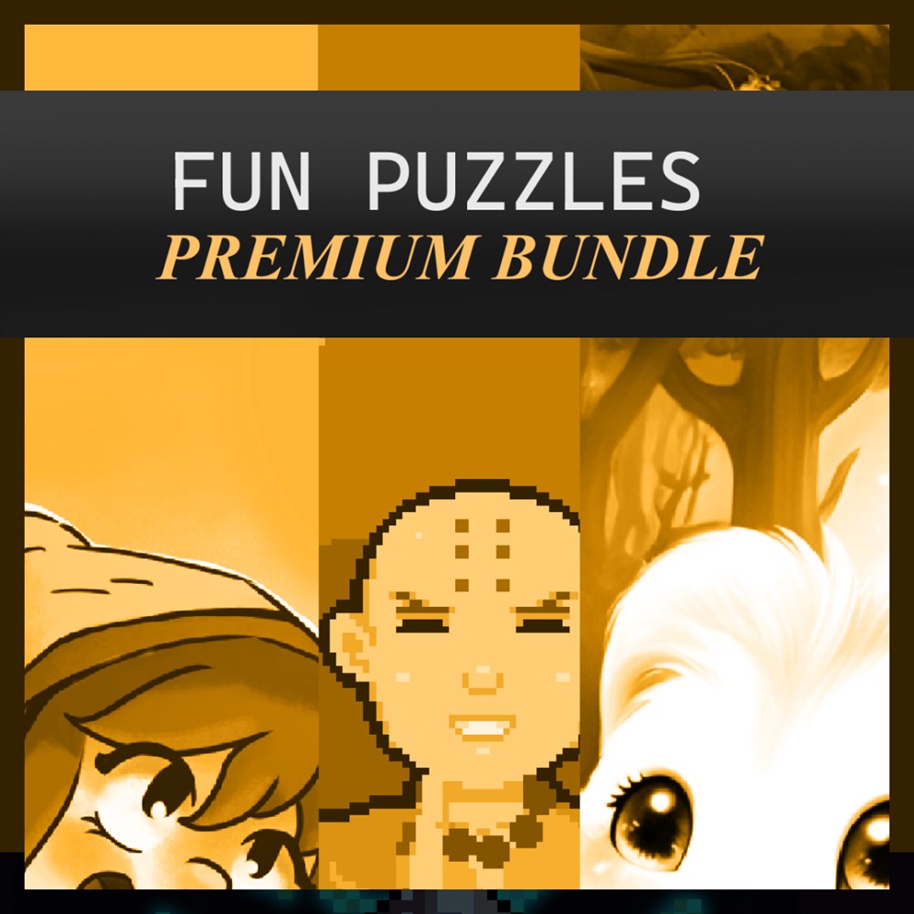 Fun Puzzles Premium Bundle cover art (full size)
