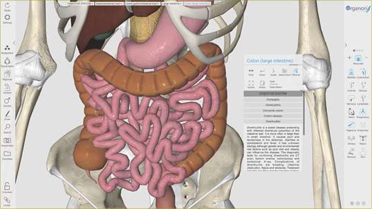 3D Organon Anatomy screenshot 8