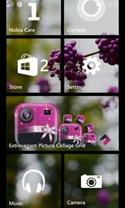 Extravagant Picture Collage Grid screenshot 1