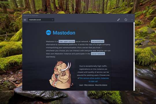 Mammoth for Mastodon screenshot 1
