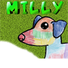 Milly the dog