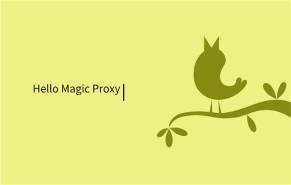Magic Proxy